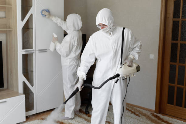 Best Mold Removal for HVAC Installations  in Exandria, AL